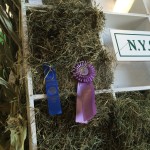 First Place Hay!
